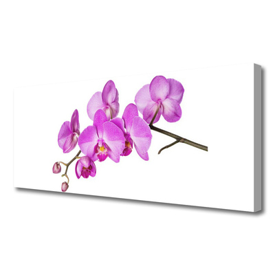 Obraz Canvas Vstavač orchidea kvety