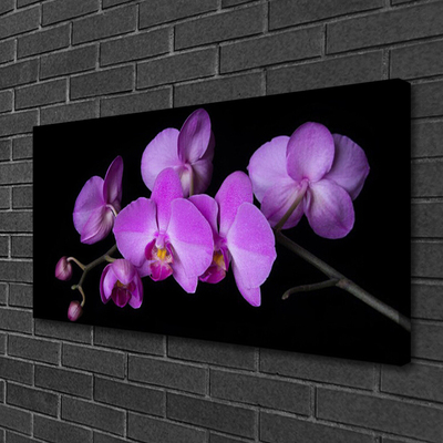 Obraz Canvas Vstavač orchidea kvety