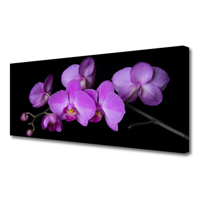 Obraz Canvas Vstavač orchidea kvety