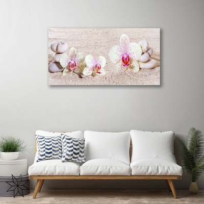 Obraz Canvas Orchidea kamene zen písek