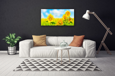 Obraz Canvas Slnečnica kvety príroda
