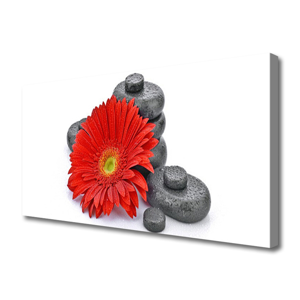 Obraz Canvas Kvety gerbery kamene zen