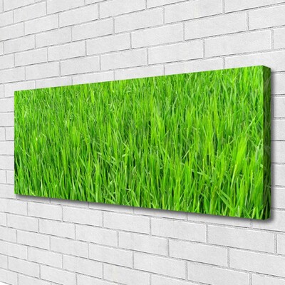 Obraz Canvas Zelená tráva príroda trávnik
