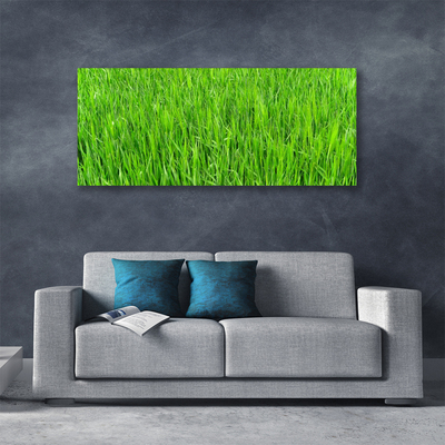Obraz Canvas Zelená tráva príroda trávnik