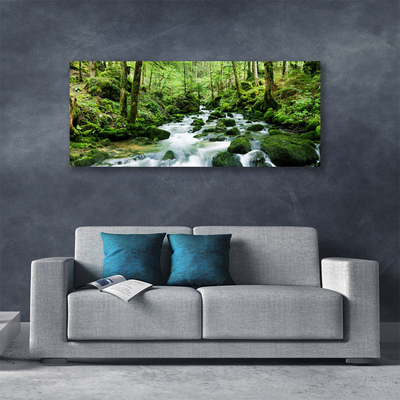 Obraz Canvas Les potok vodopády rieka