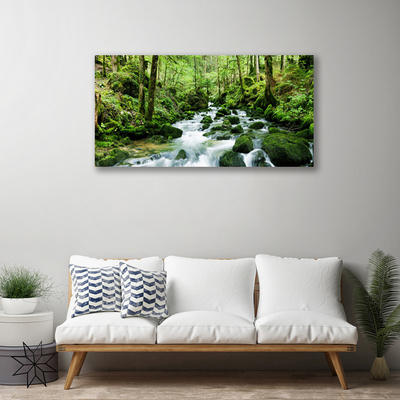 Obraz Canvas Les potok vodopády rieka