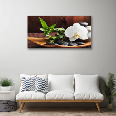 Obraz Canvas Kamene zen biela orchidea