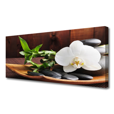 Obraz Canvas Kamene zen biela orchidea