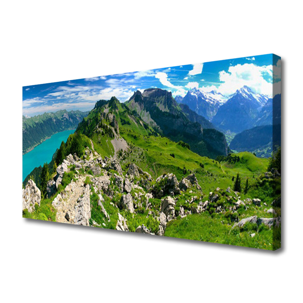 Obraz Canvas Lúka hory príroda príroda