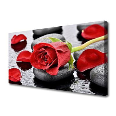Obraz Canvas Ruže kvet kamene zen