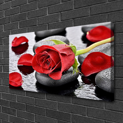Obraz Canvas Ruže kvet kamene zen