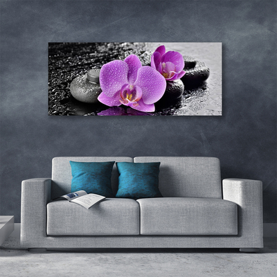 Obraz Canvas Orchidea kvety kamene zen