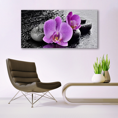 Obraz Canvas Orchidea kvety kamene zen