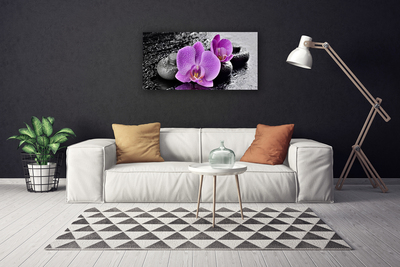 Obraz Canvas Orchidea kvety kamene zen
