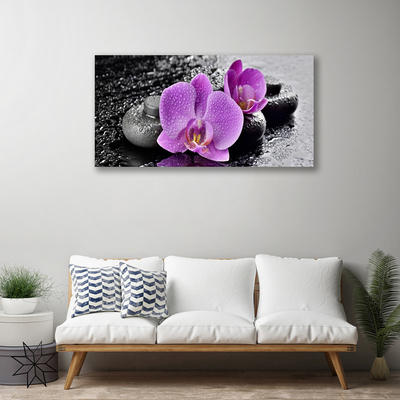 Obraz Canvas Orchidea kvety kamene zen