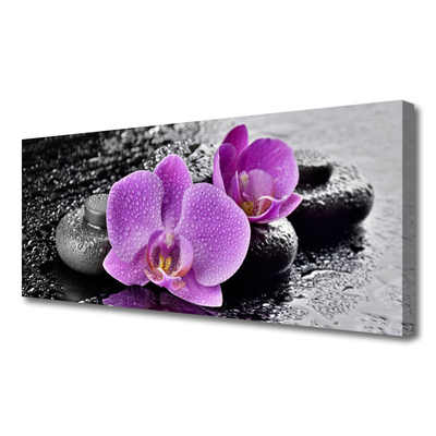 Obraz Canvas Orchidea kvety kamene zen