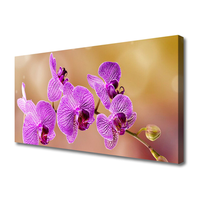 Obraz Canvas Orchidea výhonky kvety príroda