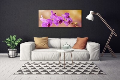 Obraz Canvas Orchidea výhonky kvety príroda