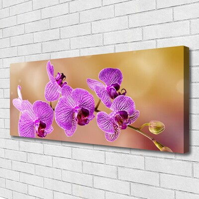 Obraz Canvas Orchidea výhonky kvety príroda