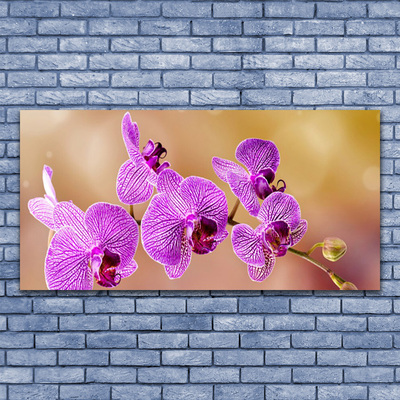 Obraz Canvas Orchidea výhonky kvety príroda