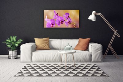 Obraz Canvas Orchidea výhonky kvety príroda