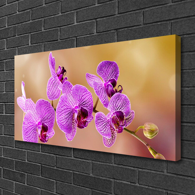 Obraz Canvas Orchidea výhonky kvety príroda