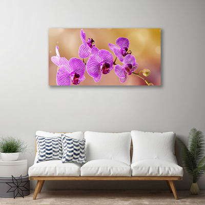 Obraz Canvas Orchidea výhonky kvety príroda