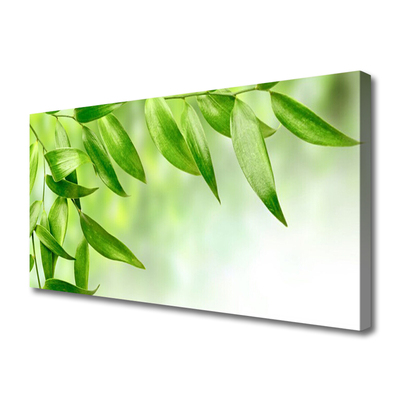 Obraz Canvas Zelené listy príroda