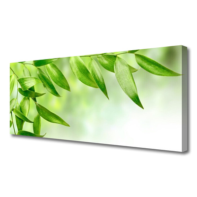 Obraz Canvas Zelené listy príroda