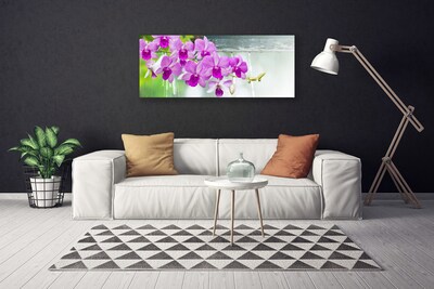 Obraz Canvas Orchidey kvapky príroda