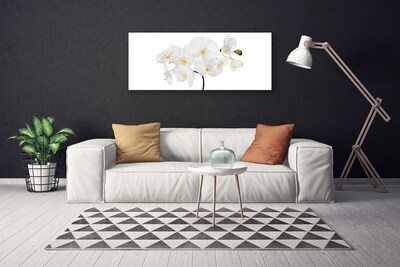 Obraz Canvas Biela orchidea kvety