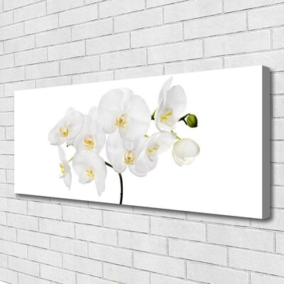Obraz Canvas Biela orchidea kvety