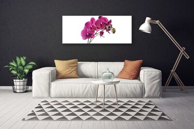 Obraz Canvas Orchidea kvety príroda