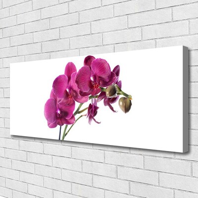 Obraz Canvas Orchidea kvety príroda