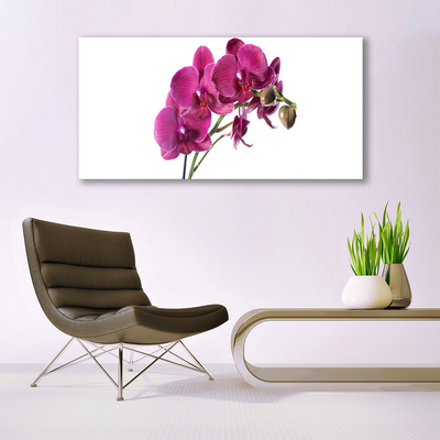 Obraz Canvas Orchidea kvety príroda