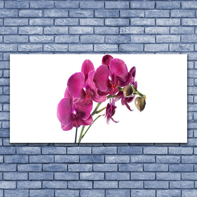 Obraz Canvas Orchidea kvety príroda