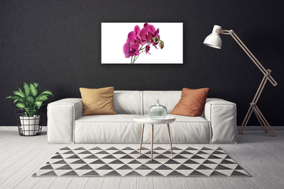 Obraz Canvas Orchidea kvety príroda