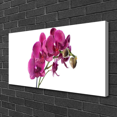 Obraz Canvas Orchidea kvety príroda