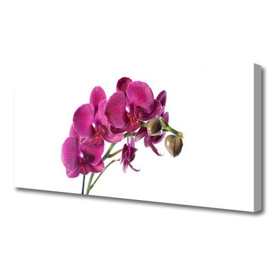 Obraz Canvas Orchidea kvety príroda