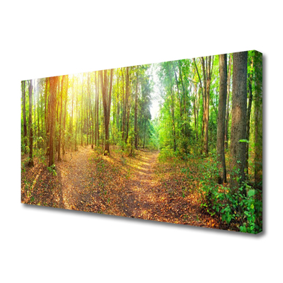 Obraz Canvas Slnko príroda lesné chodník