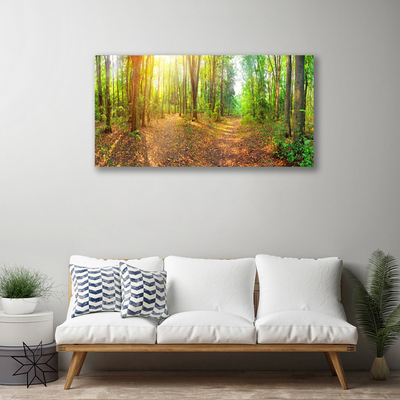 Obraz Canvas Slnko príroda lesné chodník