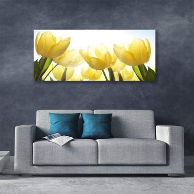 Obraz Canvas Tulipány kvety lúče