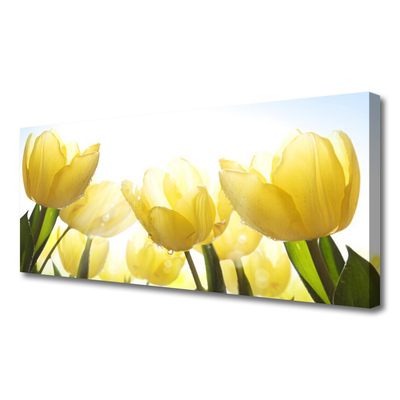 Obraz Canvas Tulipány kvety lúče