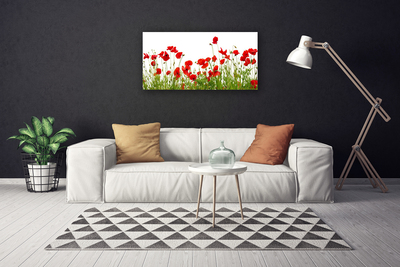 Obraz Canvas Lúka maky kvety príroda