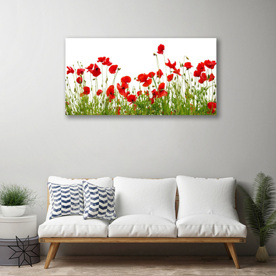 Obraz Canvas Lúka maky kvety príroda