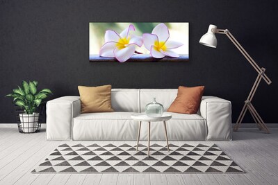 Obraz Canvas Kvety plátky plumérie