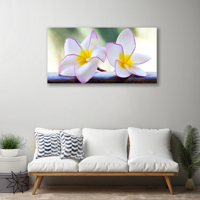 Obraz Canvas Kvety plátky plumérie
