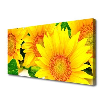 Obraz Canvas Slnečnica kvet príroda