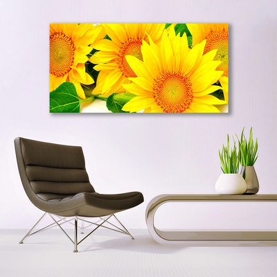 Obraz Canvas Slnečnica kvet príroda