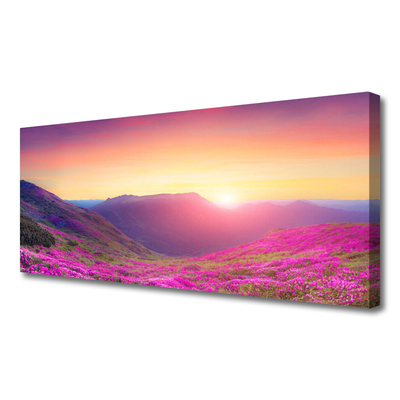 Obraz Canvas Slnko hory lúka príroda